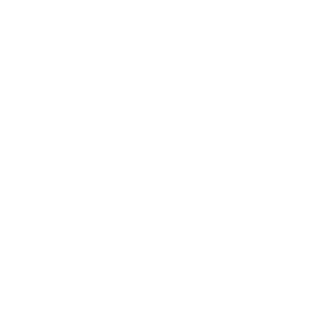 C2 Sporthorses